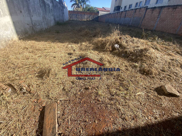 #TR1UMU - Terreno para Venda em Uberlândia - MG - 1