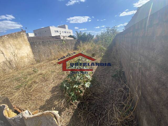 Terreno para Venda em Uberlândia - 4