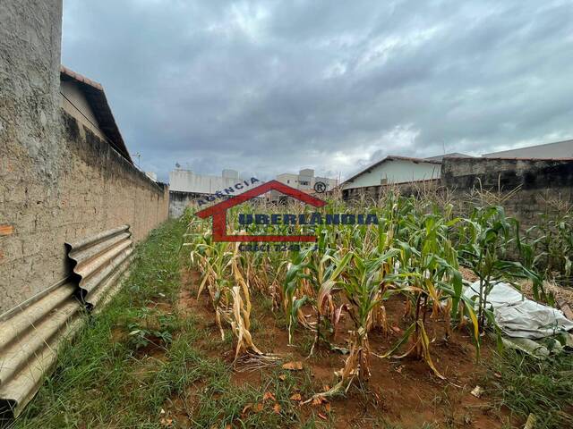 #TR1GRD - Terreno para Venda em Uberlândia - MG - 1